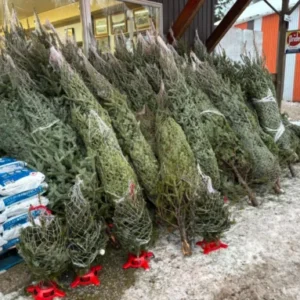 10.6 m Artificial Christmas Tree product inventory
